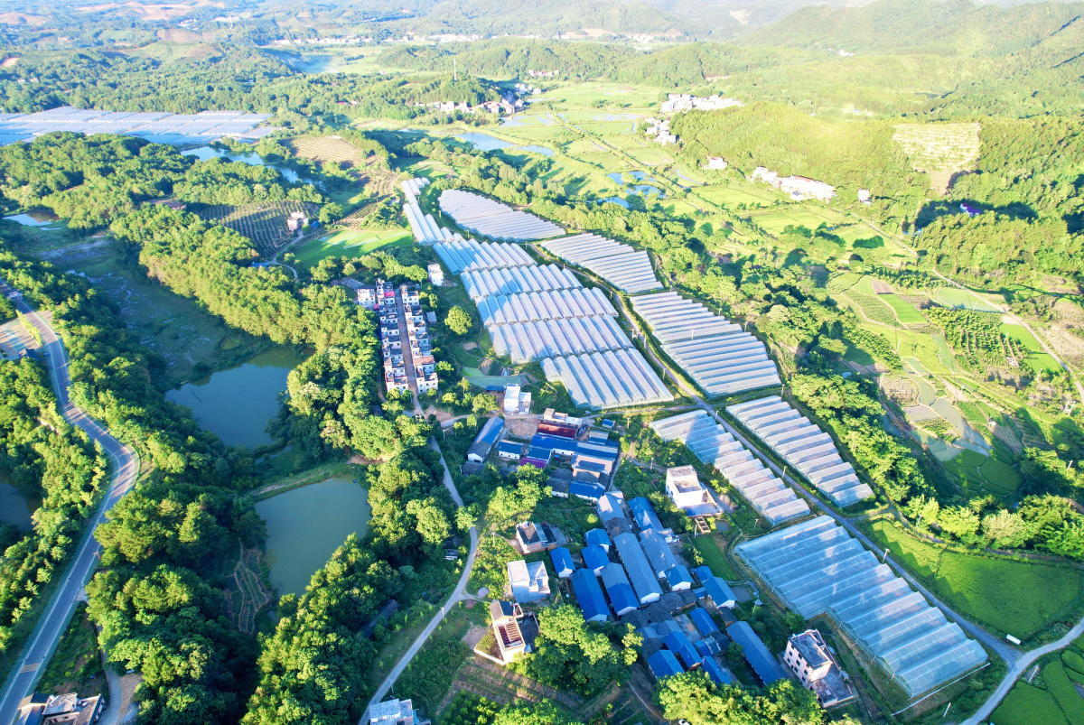 �������ҵĴ��55�� | ����ʡ�ŷ����������壺�������� ��������