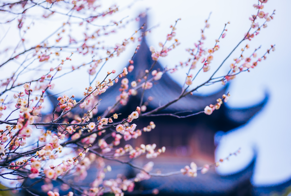 �������ҵĴ��56�� | ����ʡ��ɽ��Ǳ����Ǳ�ڴ壺����Ǳ�� ��������