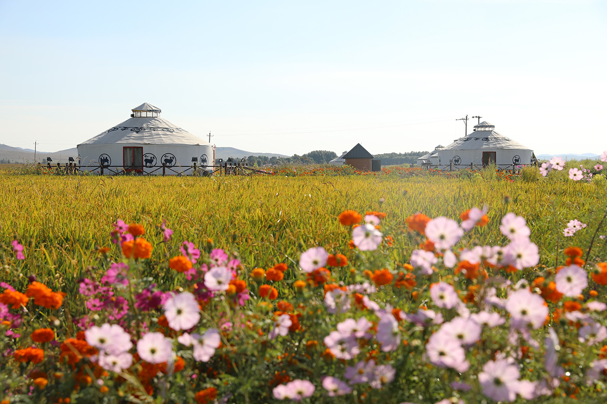 �������ҵĴ��59�� | ���ɹſ��������ľͥ������ľ���尽���²飺�߲����仨���� �Ҹ�����ɽˮ��