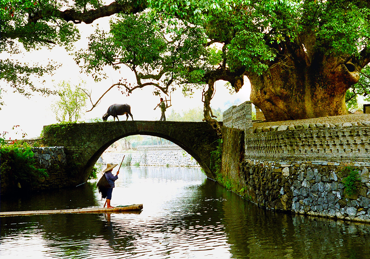 �������ҵĴ��63�� | ����ʡ��Դ�ظ����򣺺�ֲ��̬��ɫ �����������