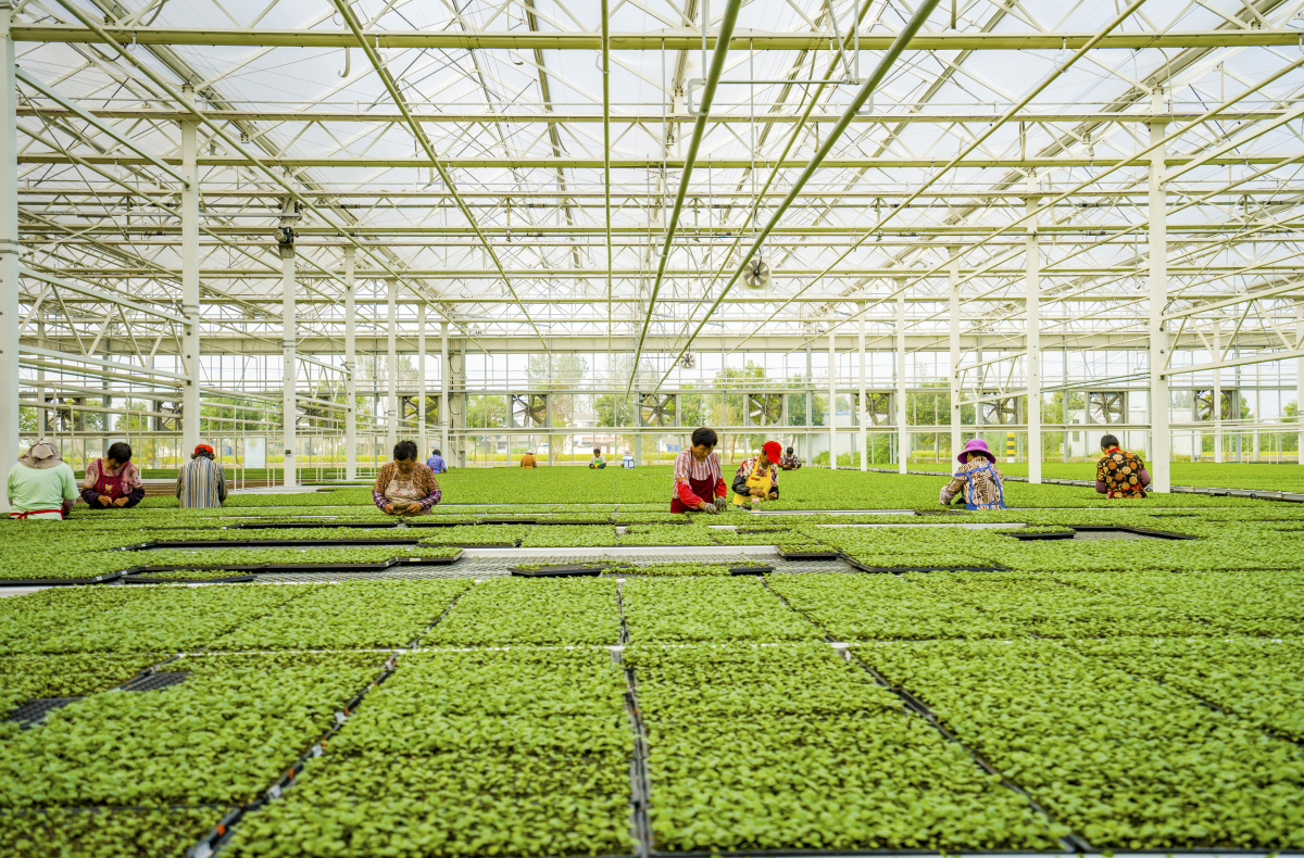 �������ҵĴ��71�� | ����ʡ�����н�۴壺�洦������ ����չ����