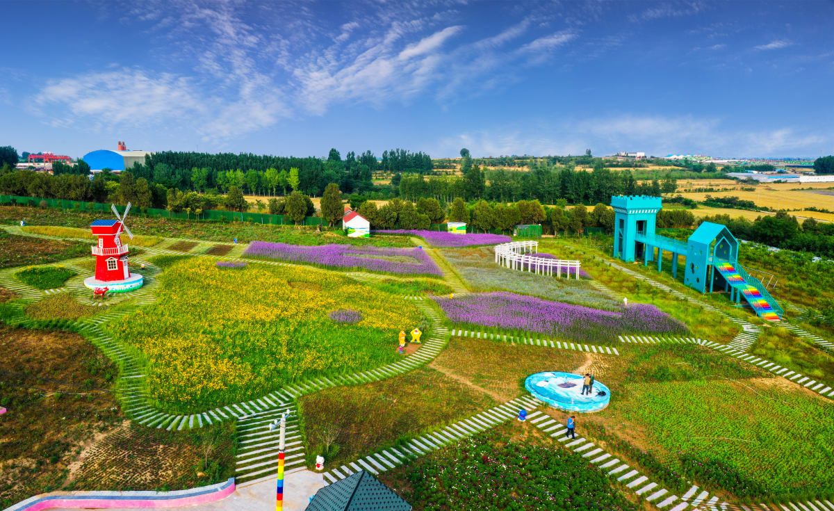 �������ҵĴ��75�� | ����ʡ�ױ�����������´壺�������� ������ҵ