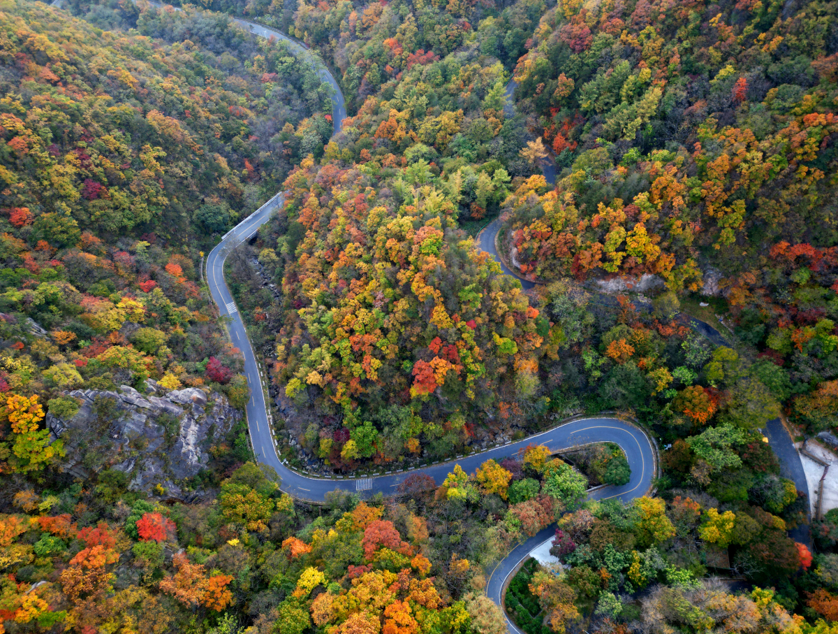 �������ҵĴ��82�� | ����ʡ��Ͽ��̫ƽ�򣺴�ɽ��з��� �������������