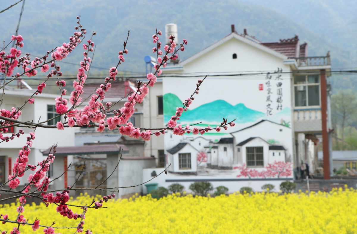 �������ҵĴ��84�� | ����ʡ�����й����Ԫ�Ĵ壺�Ŵ���� ��������