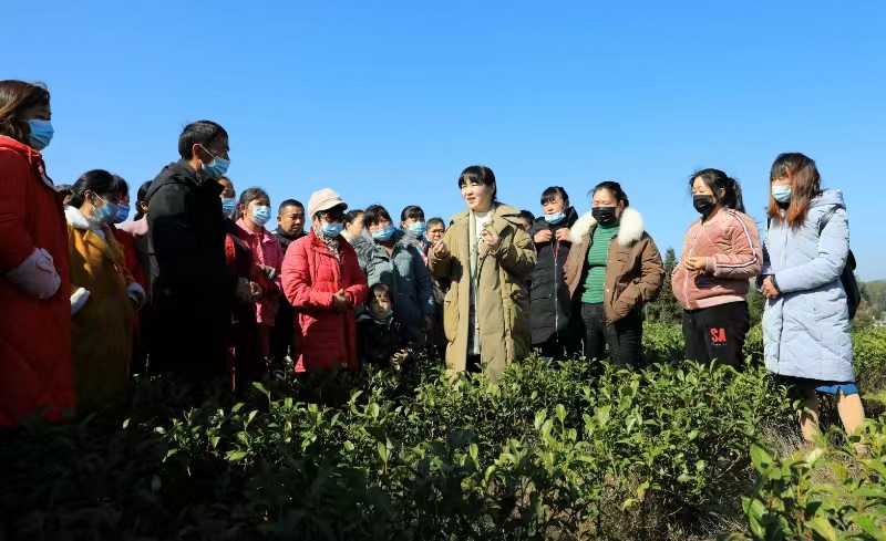 ��ʱ|AG(AsiaGaming)������Ӫ��