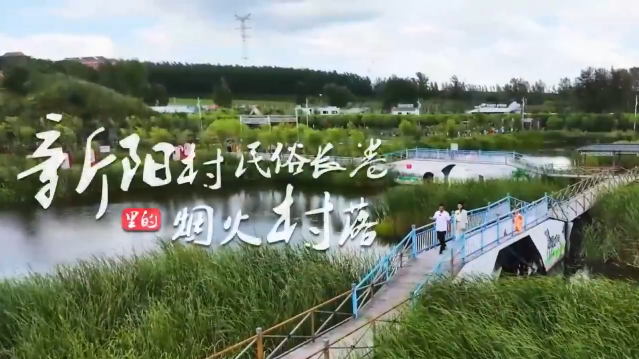 ���������������� ���׳�������̻�����