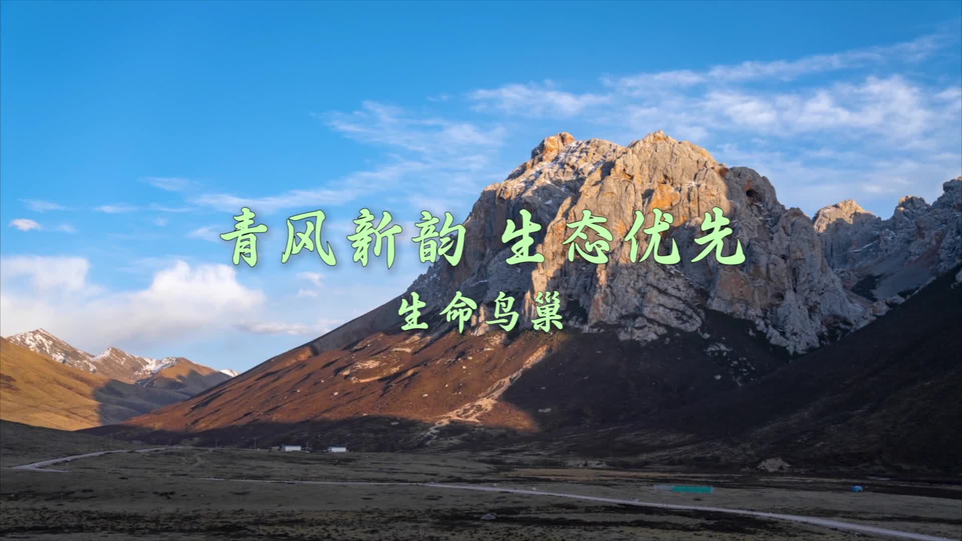 ������� ��̬����