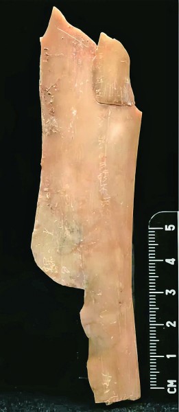 ������˯������Ӱ�󡪡�2024���й������·�������ɨ��